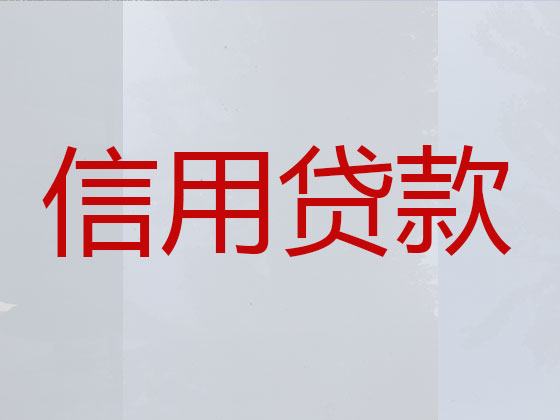 仪征市正规贷款中介公司